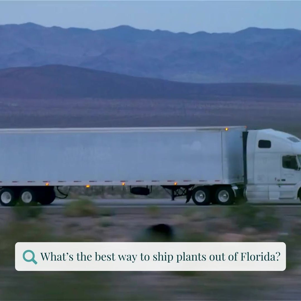 Ship tropical plants for as little as 10% of plant costs with Triad Truckpool