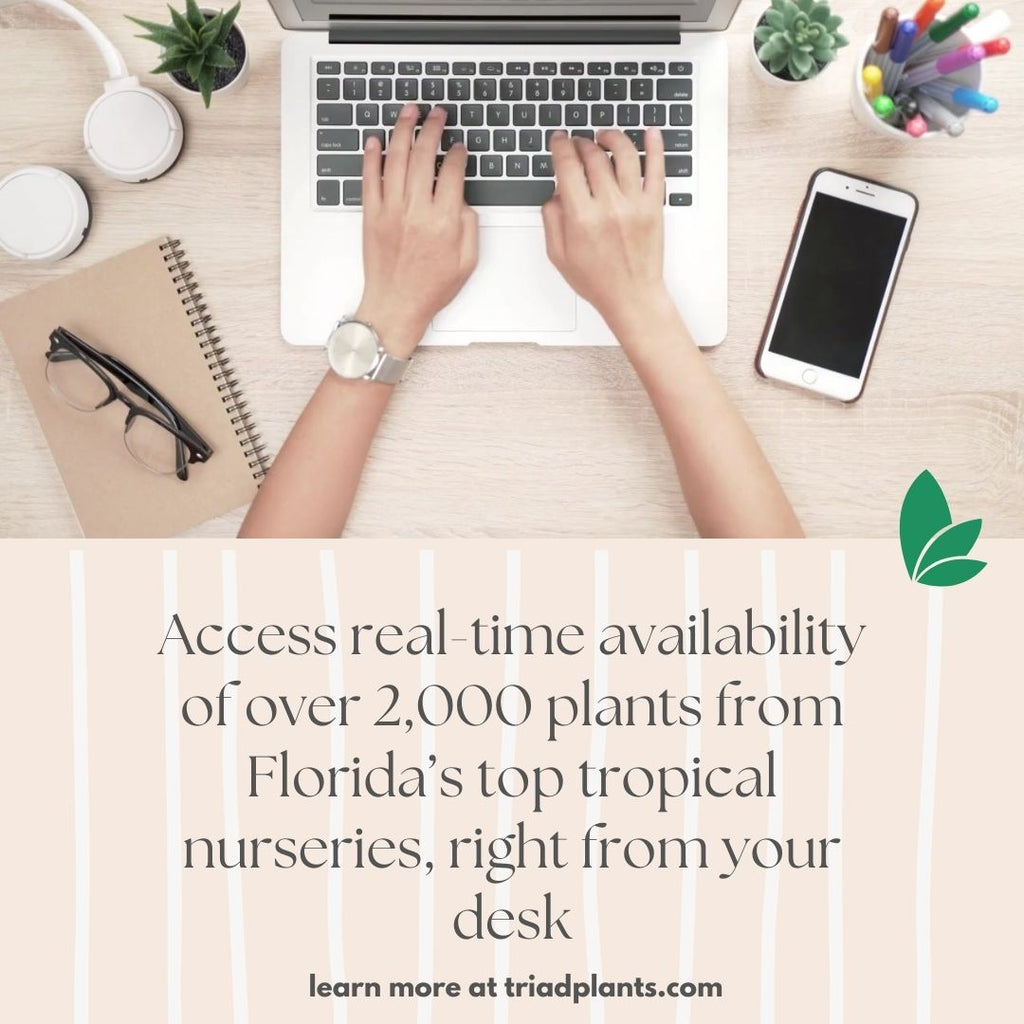 Realtime availability of over 2,000 premium quality wholesale tropical plants