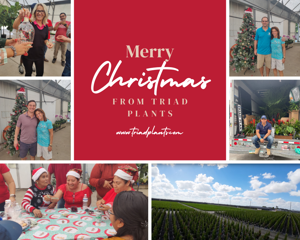 Merry Christmas and Happy Holidays!