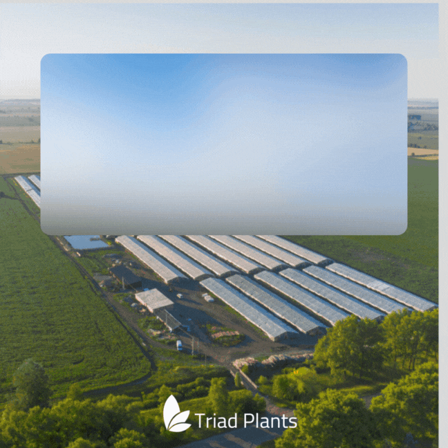 Important Update on wholesale tropical plant Industry Prices for Spring Orders