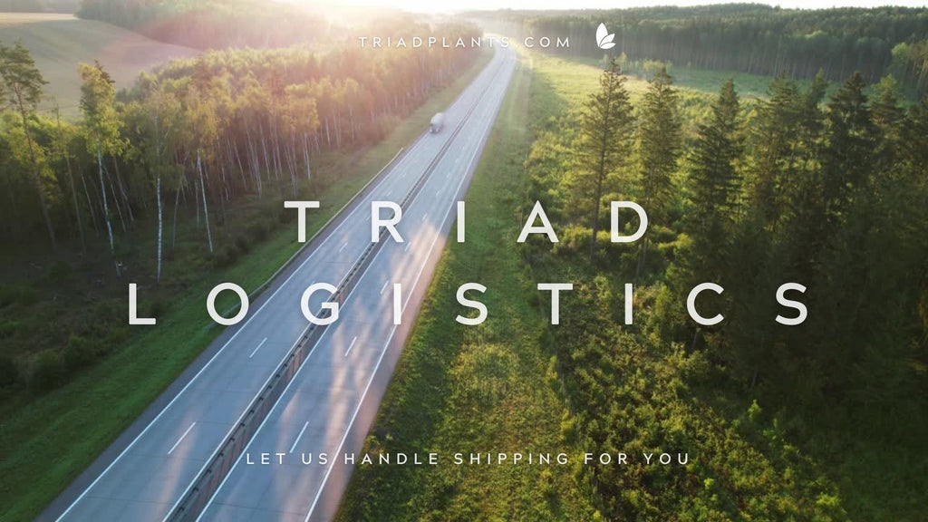 October Shipping Special - Pay only $500 to $1000* in shipping fees, regardless of order size