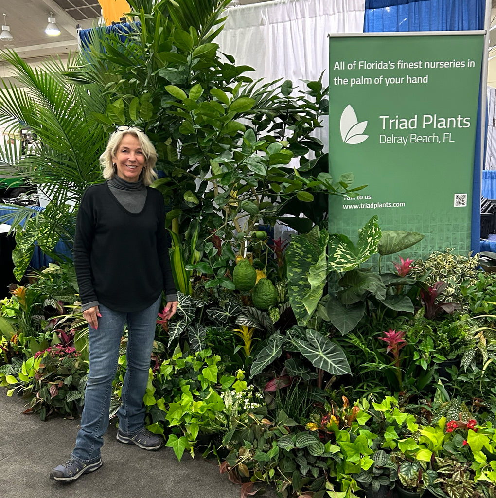 The Triad team will be at the TPIE (Booth# 337)
