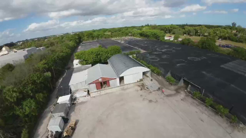Triad Plants Nursery Virtual Tour