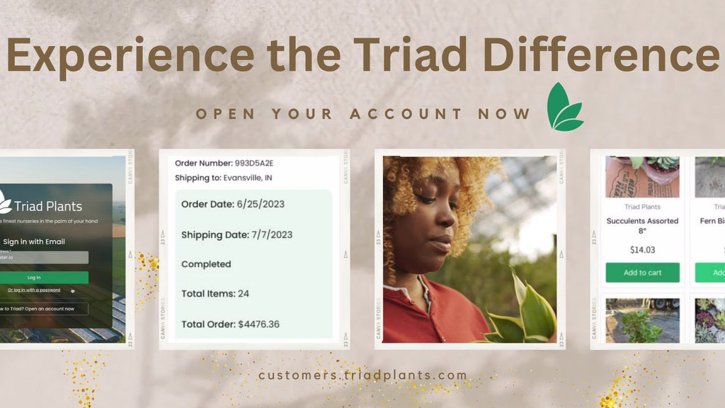 Triad Portal Explainer Video